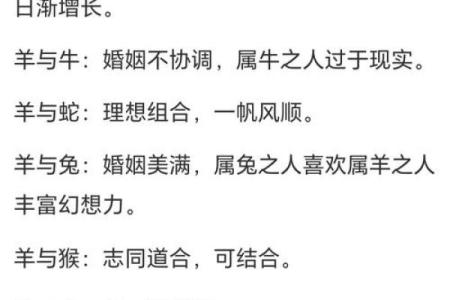 91年出生的男性与93年出生的女性的命理解析与配对探讨