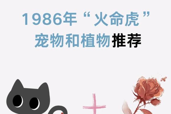 深入探讨虎年年木命的木元素与人生智慧