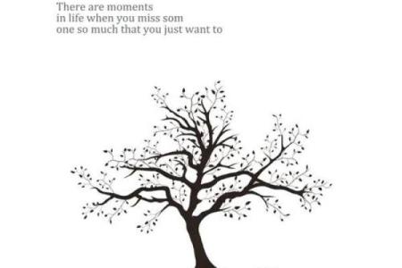 木命人最适合的专业选择：引领你走向成功与幸福之路