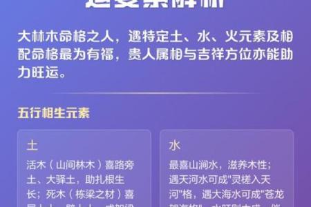 深入探讨虎年年木命的木元素与人生智慧