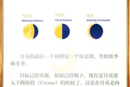 冬月里生人命运解析：揭示冷月生命的独特魅力和智慧