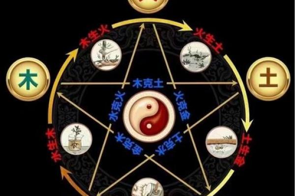 金命与木命:谁才是命运中的赢家?揭示背后的秘密! 金命与木命:谁才是命运中的赢家?揭示背后的秘密!