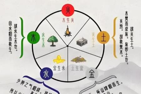 金命与木命：谁才是命运中的赢家？揭示背后的秘密！