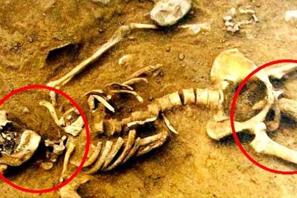 女人换命真相：揭示她们背后的故事与选择