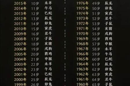 34岁属什么命？深度探索庚寅年的意义与未来展望