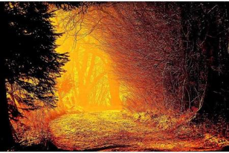 冬月老鼠命运解析：从吉凶看生活中的阴影与光明