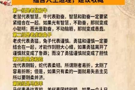 揭秘通命背后：解读生肖的力量与智慧