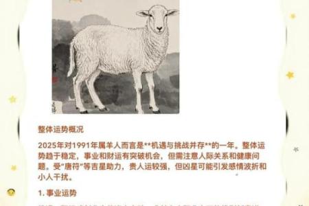 2027年羊年运势解读：如何把握自己的命运与机会