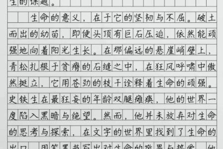 探索生命的真谛：理解人类存在的多维意义