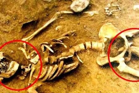 女人换命真相：揭示她们背后的故事与选择