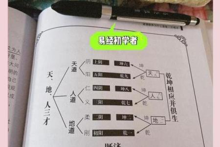 浅谈男命卦与女命卦相冲的奥秘与影响