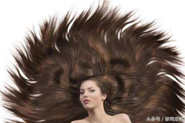 头发多头发硬的命运解析:命运与发质的奇妙关联 头发多头发硬的命运解析:命运与发质的奇妙关联