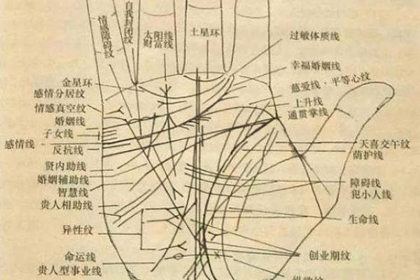 手相解析：烂手相背后的命理真相与人生启示