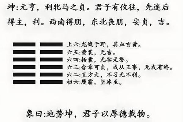 命里有三个木,探讨其命理影响与生活启示 命里有三个木,探讨其命理影响与生活启示