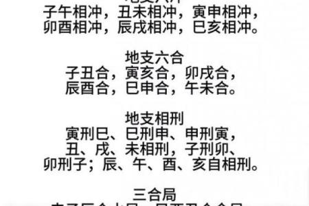 地支有财无根，算命中的命理探秘与人生启示