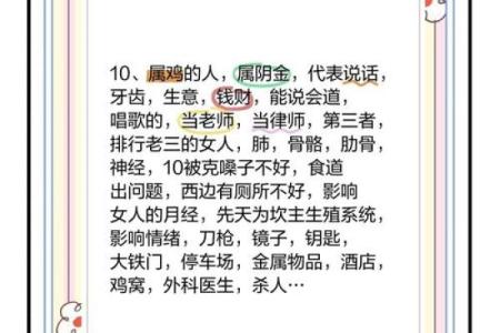 2020年的生肖与命理解析：揭示你的一生命运与运势变化