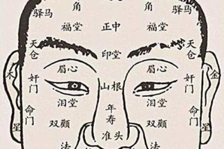 探寻1981的命运密码：你的命理图谱