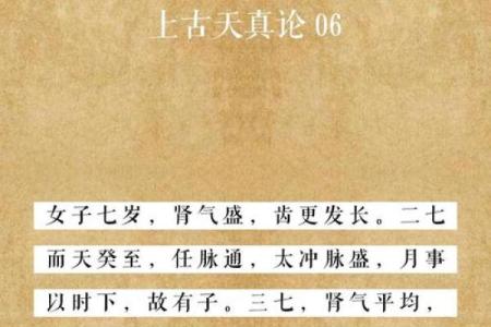 癸水女命的命理特征与生活智慧探讨