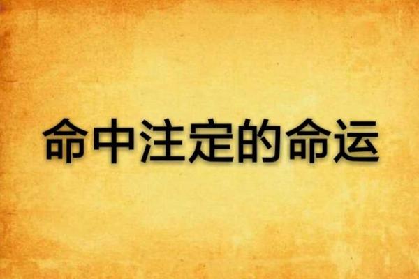 87年女孩的命运解析:命中注定还是自我成就? 87年女孩的命运解析:命中注定还是自我成就?