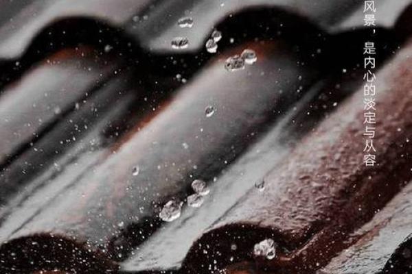 1994腊月二十：探索命运之道与人生哲学的交汇点