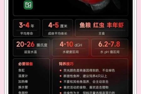 命理与水族：养鱼与水母的忌讳与讲究