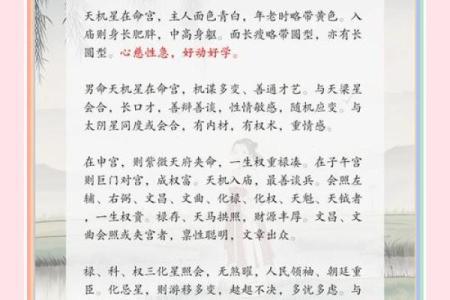 38属什么的什么命，破解命理之秘的奇妙之旅！