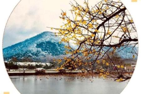 1994腊月二十：探索命运之道与人生哲学的交汇点