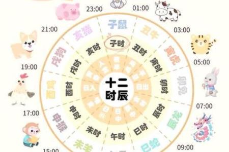 根据出生时辰看属什么命，探寻你的命理奥秘