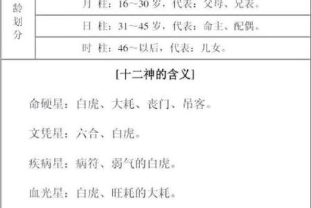 13年宝宝是什么命？解析命理与生肖的奥秘