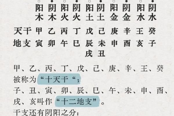 如何判断自己是金命还是木命？揭示五行与你的命运关系！