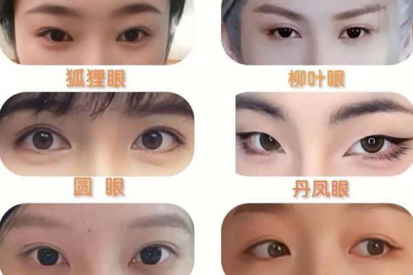 不同眼型与命运的奇妙关联，揭示命运的秘密！