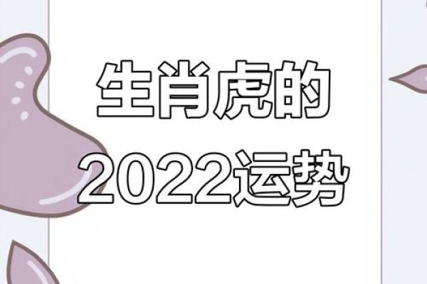 2023年虎年运势解析：解读你的命运之路与迎接挑战的策略