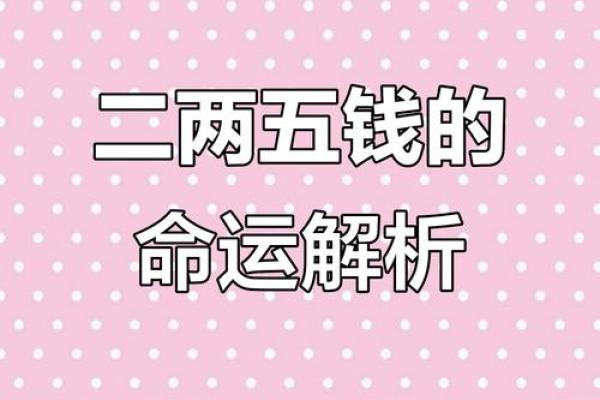 二命与两命的深刻区别解析，揭开命理奥秘之谜