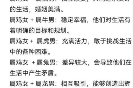 1969年属鸡男的命运解析：性格特点与人生发展之路