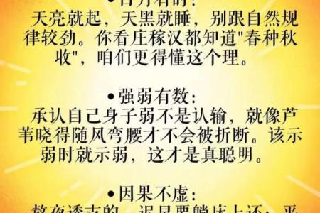 炉中火命：无所缺失的人生智慧与幸福秘籍