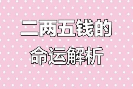二命与两命的深刻区别解析，揭开命理奥秘之谜