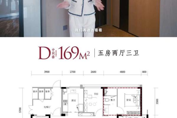 金命之人最佳户型推荐：让你生活更顺畅的家居选择