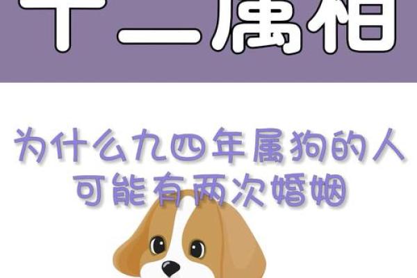 1994狗年出生的女性命运与个性解析