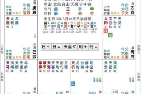 探秘紫薇命盘大限，揭示人生运势与未来走向！