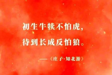 虎年出生的人命运解析：勇气与智慧的结合之道