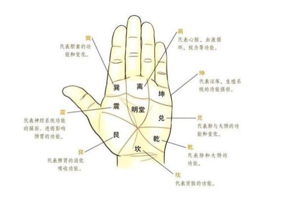 根据手纹解析：命女手纹混乱的隐秘深意与命运探秘