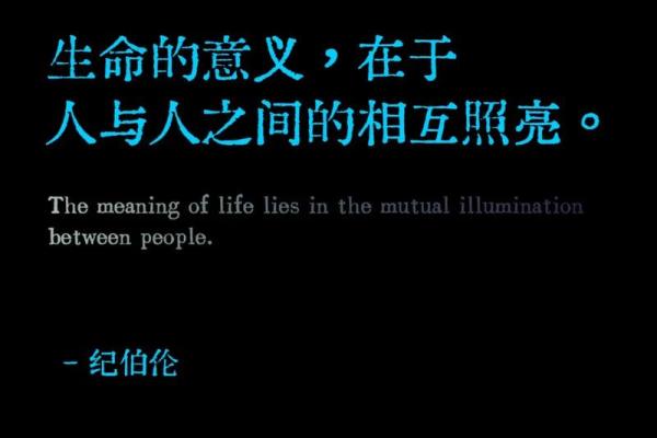 探索“以命换命”的哲学与现实意义