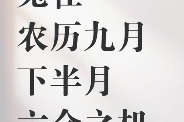 2011年命运解析：属兔人如何迎接未来的挑战与机遇