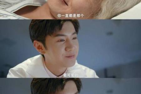 数羊的命运与心灵的安宁：从2003年的启示看生活的哲学