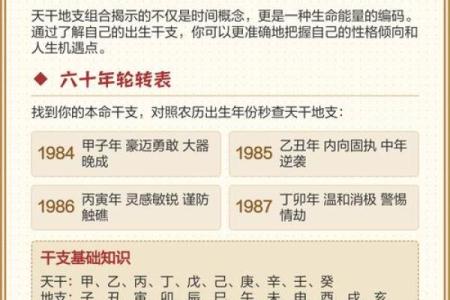 金龙命格男生的性格与人生轨迹探秘