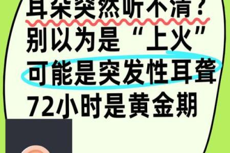 耳朵长大的是什么命？探索耳朵与运势的奥秘