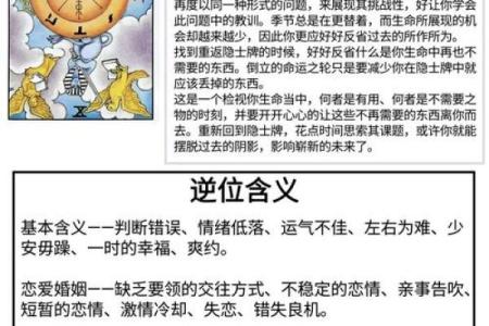 十七岁：命运之轮转动，你属于哪种命？