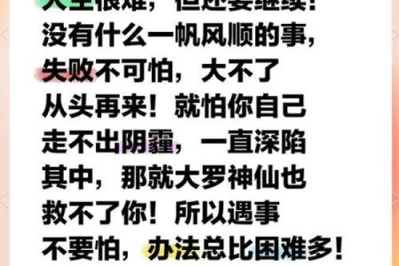 命败的深层含义与人生启示：如何面对失败与挫折？