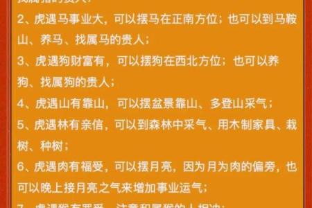 揭秘998年属虎的命运与性格特点