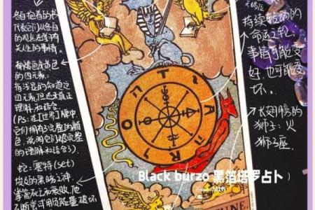 探索命运之谜：如何揭示自身命运的奥秘，改变人生轨迹！